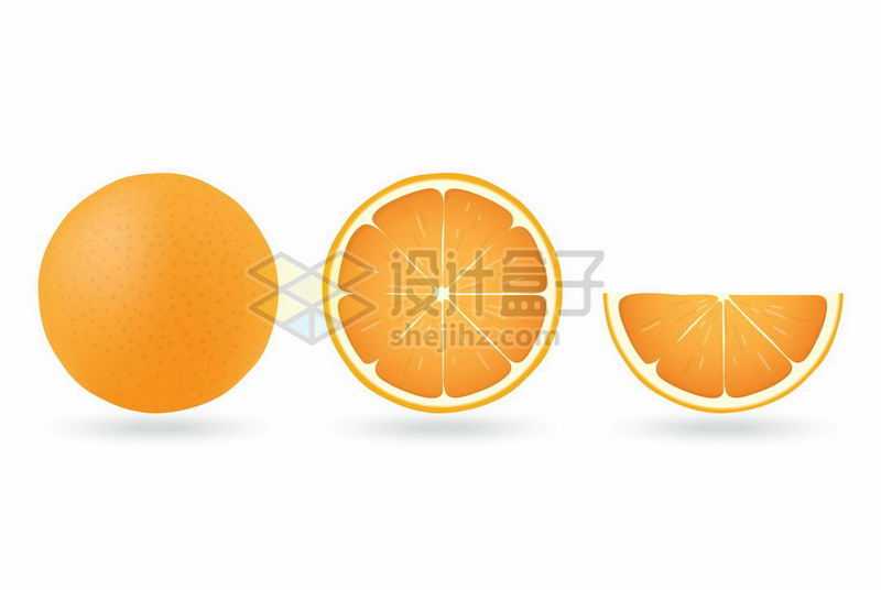圆滚滚的橙子和切开的橙子横切图2228136矢量图片免抠素材