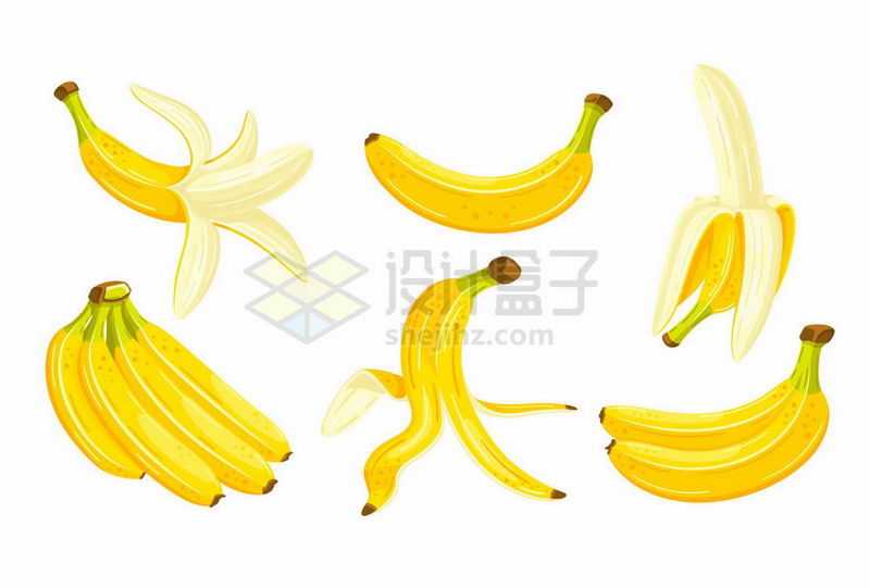 各种香蕉剥皮的香蕉水果2159109矢量图片免抠素材