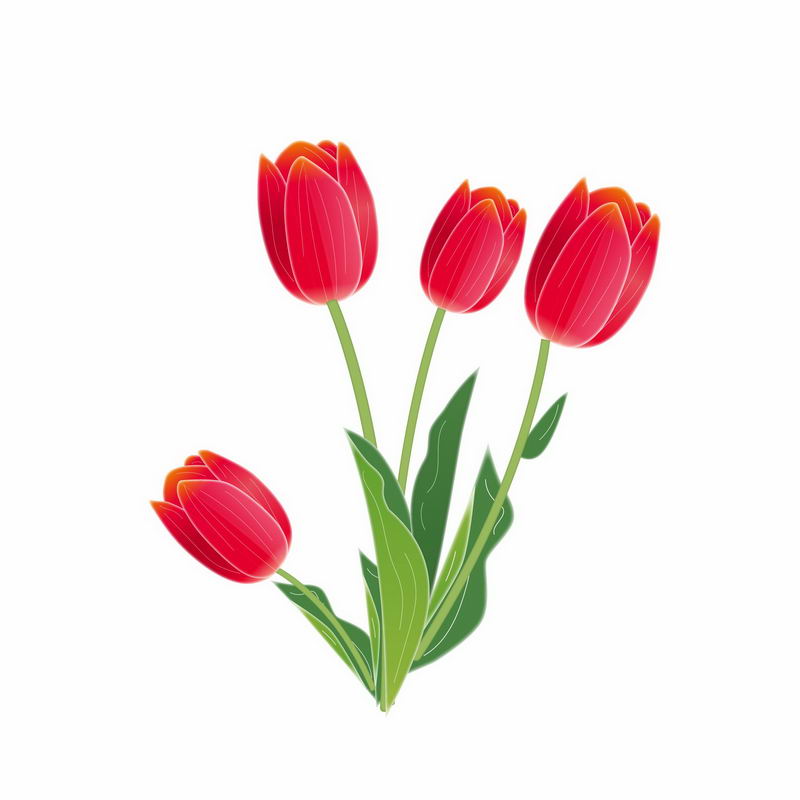 郁金香红色花朵手绘插画7883254AI矢量图片免抠素材 生物自然-第1张