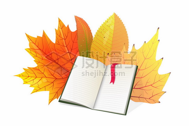 秋天金黄色枫叶树叶和打开的书本2393668矢量图片免抠素材 教育文化-第1张