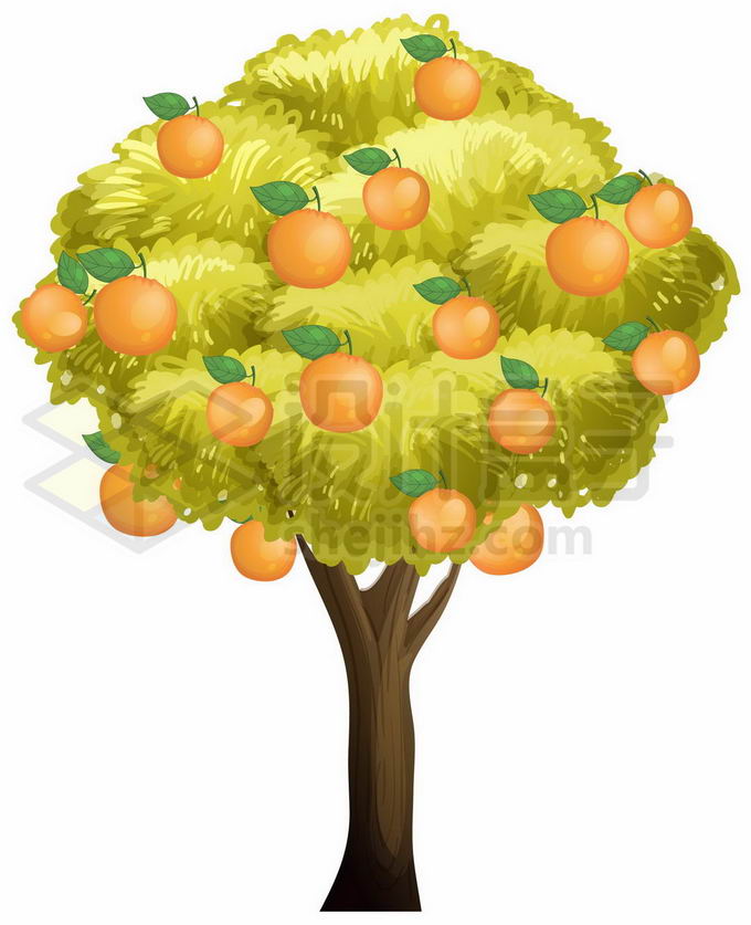 长满橙色果实的卡通橙子果树2569749矢量图片免抠素材免费下载