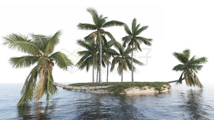 小岛上的椰树林大海上的海岛风景5247711免抠图片素材免费下载 生物自然-第1张