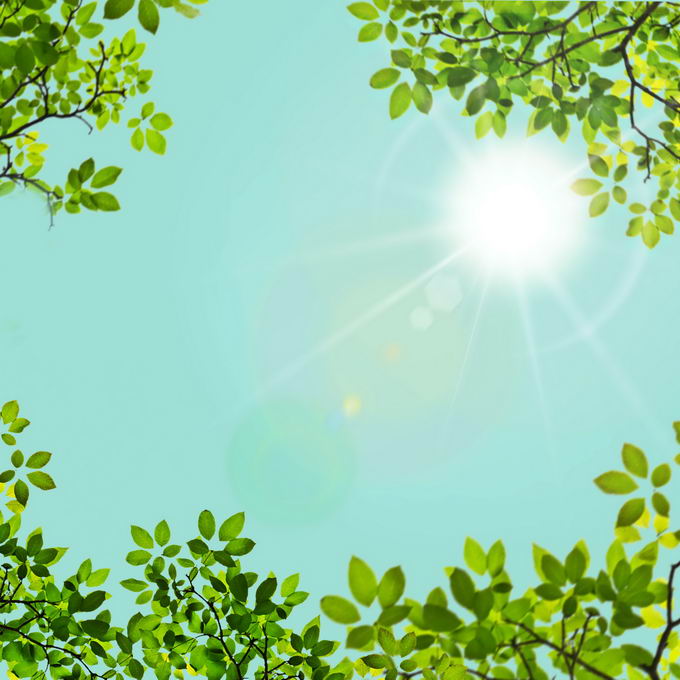 夏天正午阳光照射下的树冠绿色树叶装饰边框2600027免抠图片素材