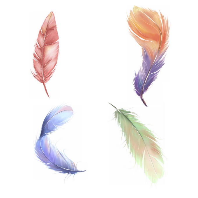 4款绚丽色彩的彩色羽毛5143723免抠图片素材 漂浮元素-第1张