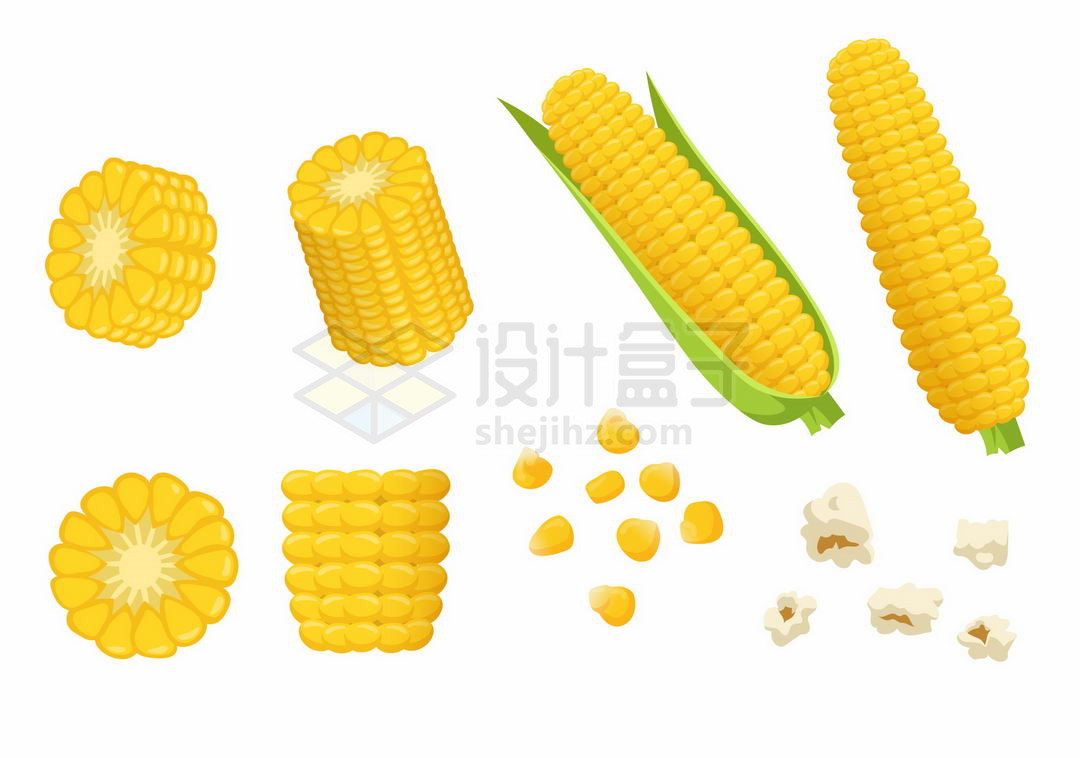 卡通金黄色的玉米棒子玉米粒和爆米花美味美食矢量图片免抠素材 设计盒子
