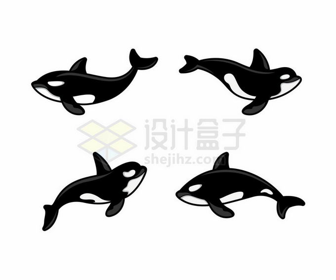 4款卡通虎鲸海洋哺乳动物3314788矢量图片免抠素材 生物自然-第1张
