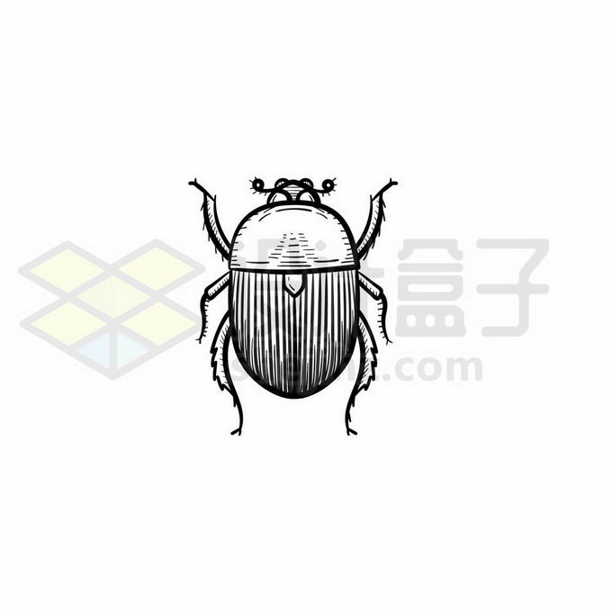 马铃薯甲虫手绘线条插画2835225矢量图片免抠素材免费下载 生物自然-第1张