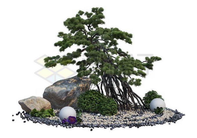 日本园林枯山水中生长在石头中的榕树盆景造型植物8483458PSD免抠图片素材 生物自然-第1张