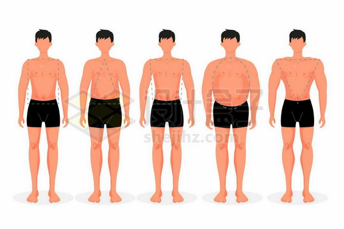 男生身材类型分类图片