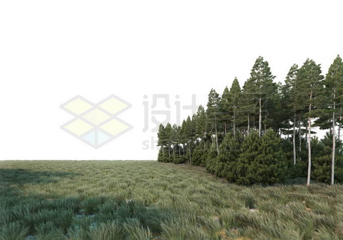 大草原和树林的分界线自然景观6614909PSD免抠图片素材 生物自然-第1张