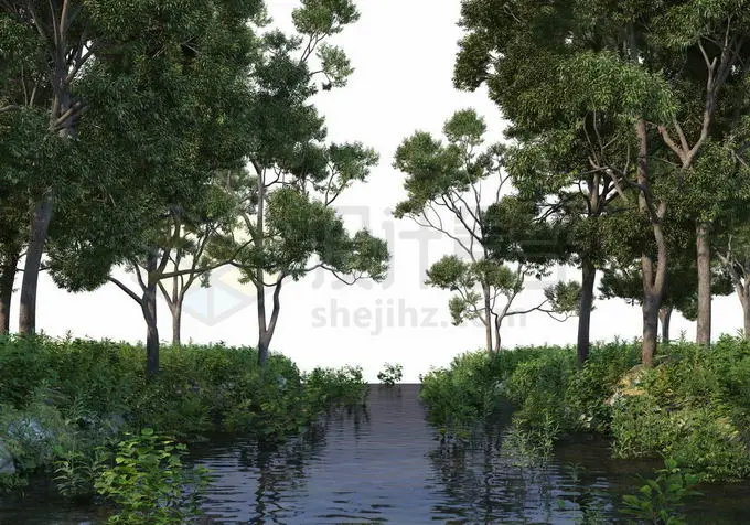 夏天树林中间平静的河水两岸高大树木1587154PSD免抠图片素材 生物自然-第1张