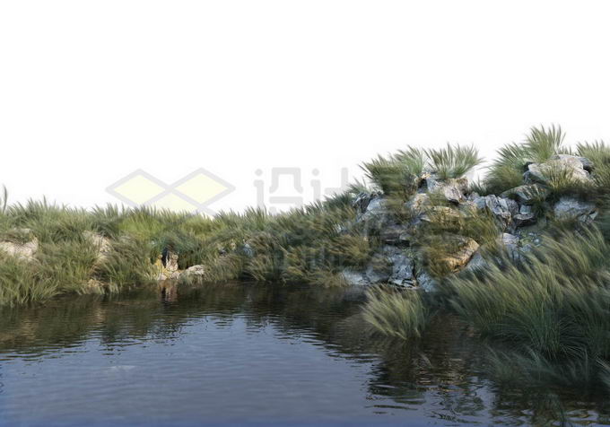 池塘河边水边的石头岸边上的草丛绿色植物9292082PSD免抠图片素材 生物自然-第1张