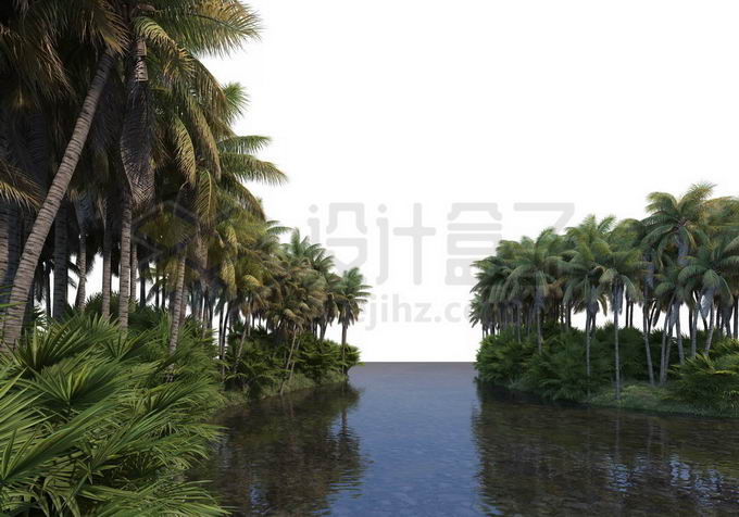 河流两岸的椰子树林热带雨林风景9459681PSD免抠图片素材 生物自然-第1张
