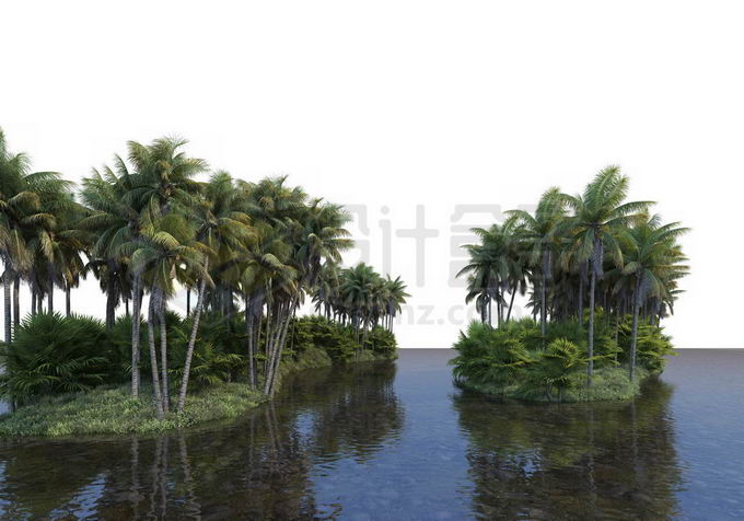湖心小岛上生长着椰子树林热带雨林风景2508630PSD免抠图片素材 生物自然-第1张