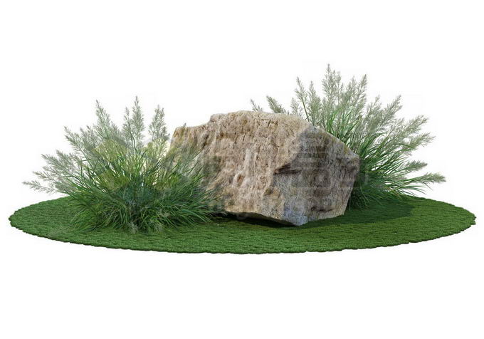 草坪草地上的牛筋草杂草和大石块4070820免抠图片素材 生物自然-第1张