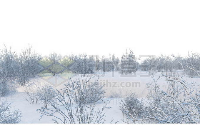 冬天大雪覆盖的灌木丛小树林雪景风景7923088免抠图片素材 生物自然-第1张
