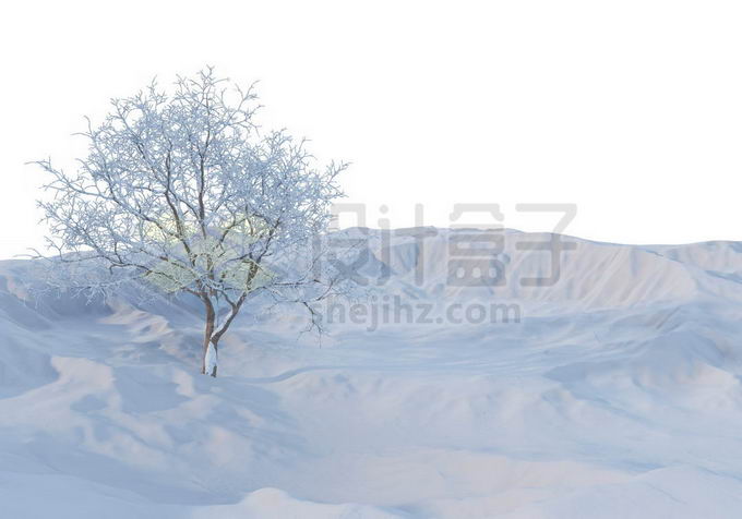 冬天大雪覆盖的荒原上一棵孤零零的大树雪景风景2450166免抠图片素材 生物自然-第1张