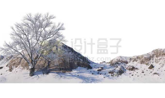 冬天大雪覆盖的石头山上一棵孤零零的大树雪景风景2888586免抠图片素材