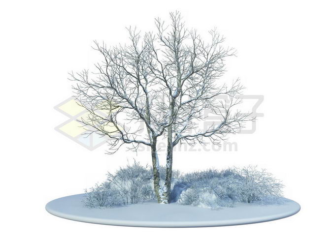 冬天大雪覆盖的雪原上的一棵大树和周围的灌木丛雪景3828871免抠图片 
