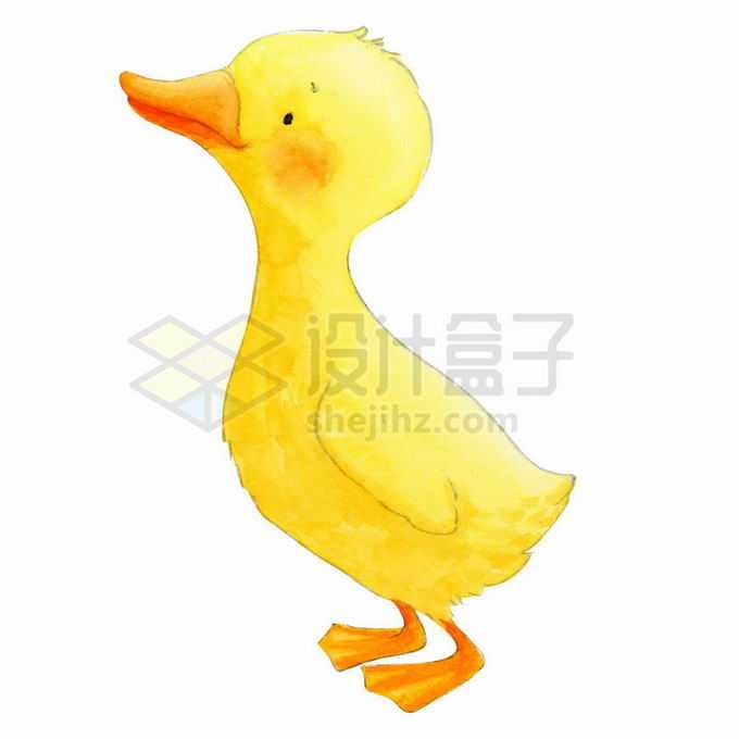 超可爱的卡通小黄鸭小鸭子水彩画7089209矢量图片免抠素材