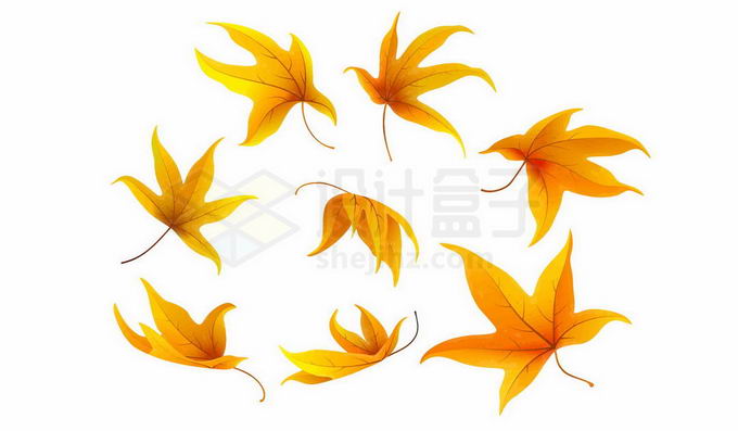秋天里飞舞的枫叶树叶8240456免抠图片素材 生物自然-第1张