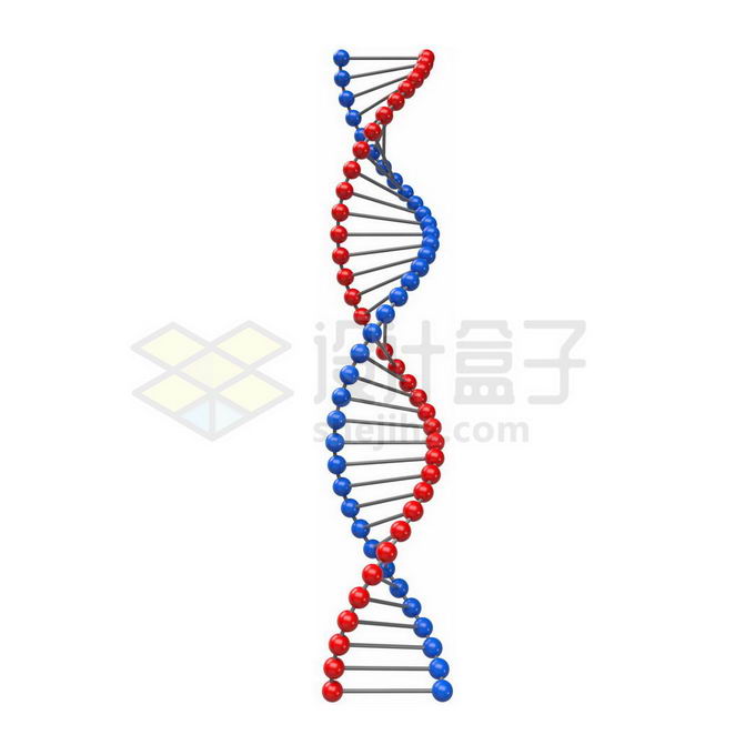 3D蓝色红色DNA分子模型5913811图片免抠素材 科学地理-第1张