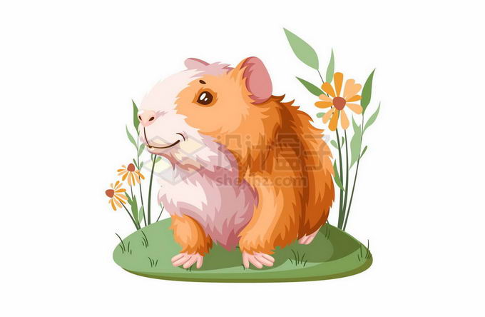 草地上的可爱卡通豚鼠天竺鼠宠物3690503矢量图片免抠素材 生物自然-第1张