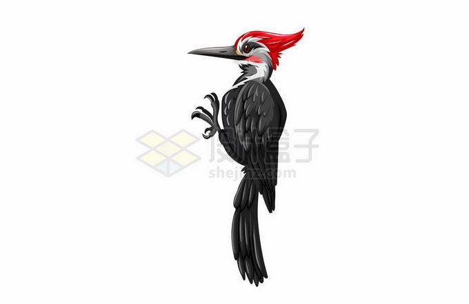 一只卡通红头啄木鸟9374747矢量图片免抠素材 生物自然-第1张
