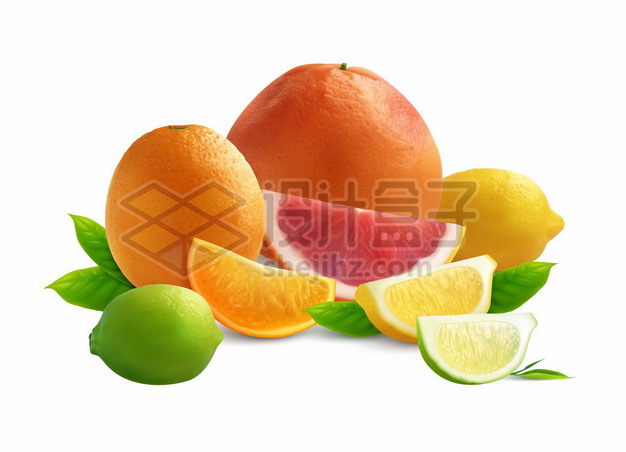 切开的橙子柠檬美味水果7726822矢量图片免抠素材 生活素材-第1张
