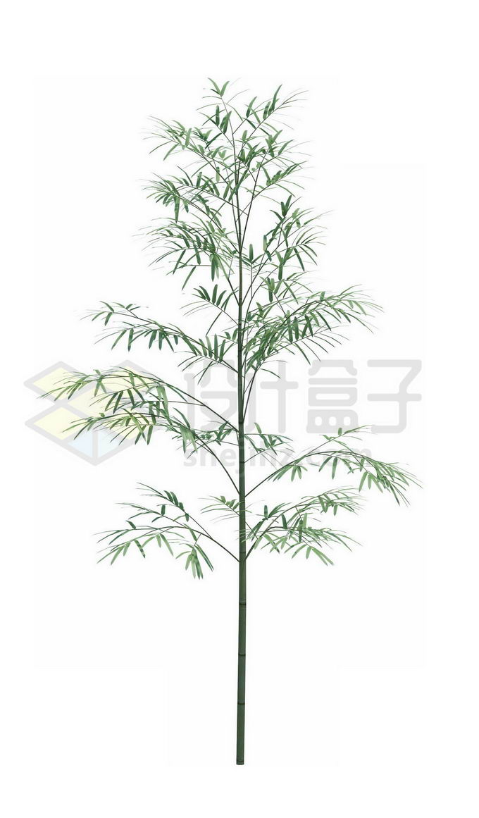 一根竹子毛竹绿色植物8361243PSD免抠图片素材 生物自然-第1张