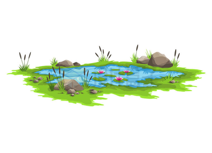一汪水池和水面上的睡莲以及岸边的香蒲等水生植物1616369矢量图片免