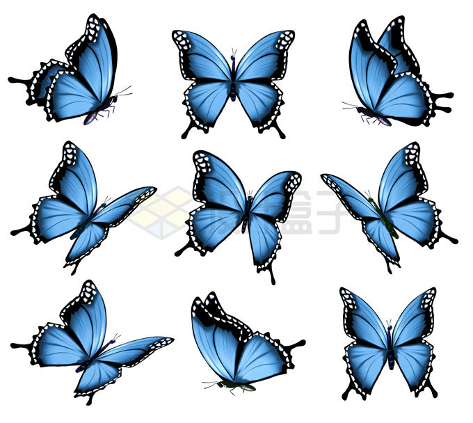 9只蓝色蝴蝶1516402矢量图片免抠素材 生物自然-第1张