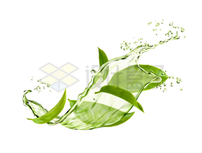 绿色的茶叶和绿茶水花效果4409763矢量图片免抠素材 效果元素-第1张