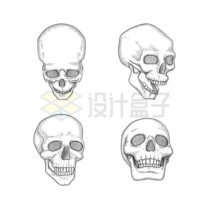 4款手绘风格头盖骨骷髅头插画7317822矢量图片免抠素材 健康医疗-第1张