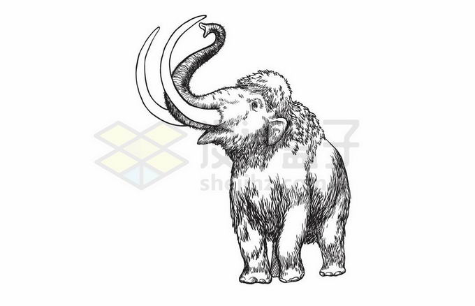 一头长毛象猛犸象古生物手绘插画3391349矢量图片免抠素材 生物自然