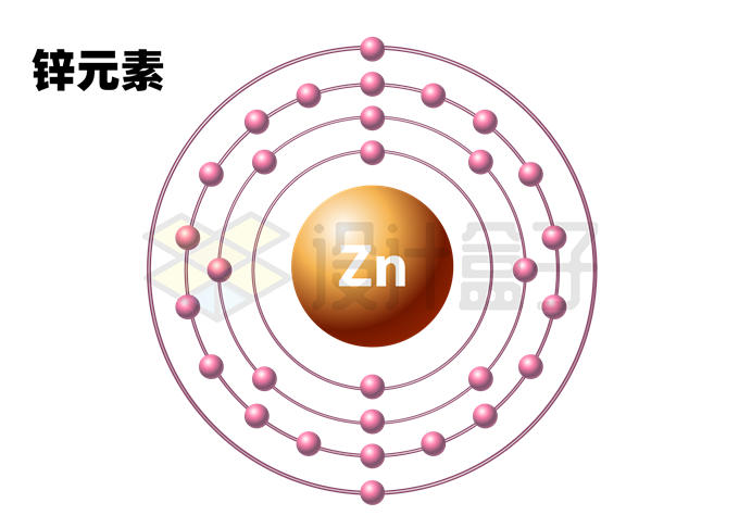 锌的原子结构示意图图片