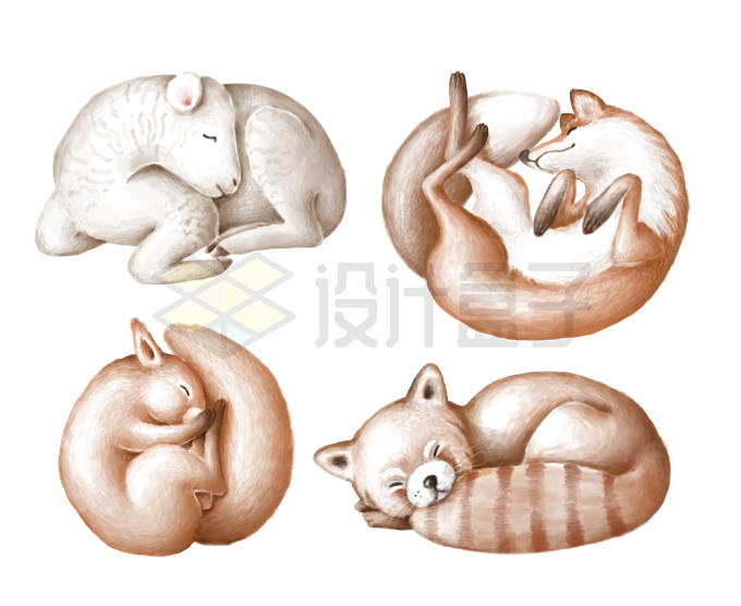 蜷缩睡觉的卡通绵羊狐狸松鼠和小熊猫可爱动物4782932PSD图片素材 生物自然-第1张