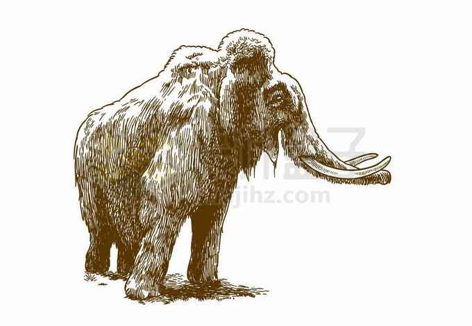 一头猛犸象古生物配图插画5198355矢量图片免抠素材 生物自然-第1张