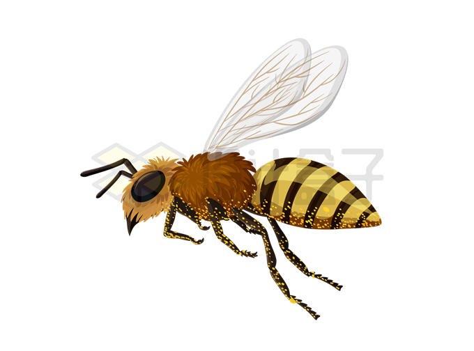 一只马蜂大黄蜂昆虫2661944矢量图片免抠素材 生物自然-第1张