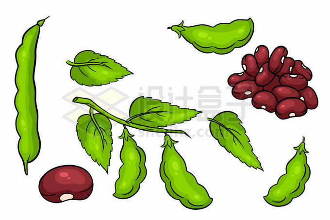 各种豌豆荚和豌豆种子插画7316028矢量图片免抠素材 生活素材-第1张