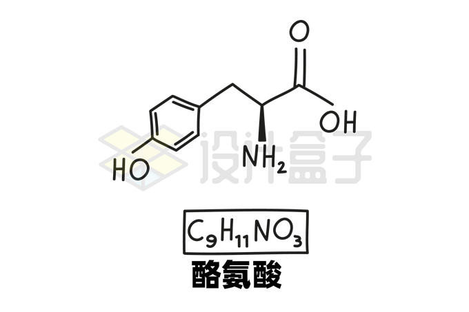 酪氨酸C9H11NO3化学方程式和分子结构式手绘风格氨基酸4989518矢量图片免抠素材 科学地理-第1张