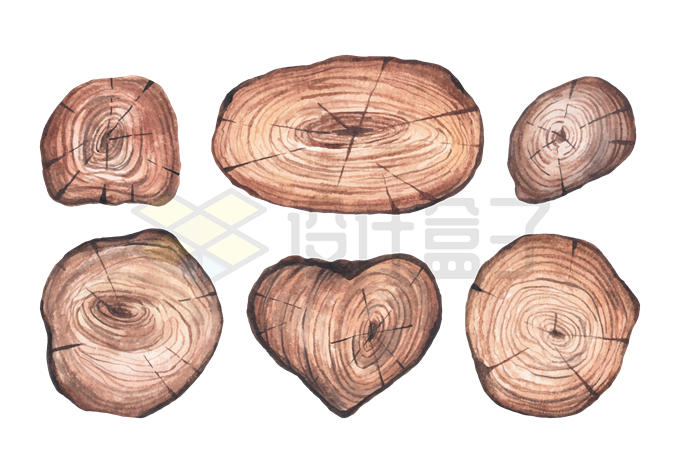 6款木头横切面年轮图案1581374矢量图片免抠素材 生物自然-第1张