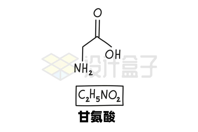 甘氨酸c2h5no2化学方程式和分子结构式手绘风格氨基酸1918967矢量图片
