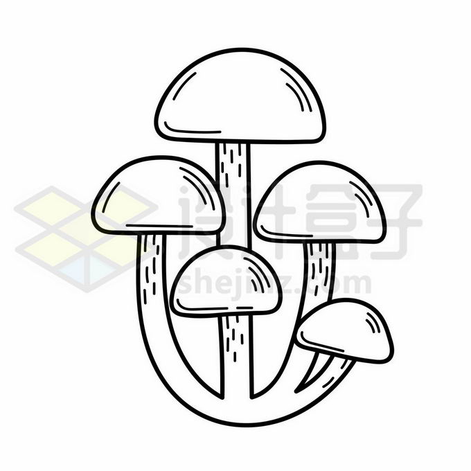 一丛香菇蘑菇线条简笔画6962658矢量图片免抠素材 生物自然-第1张