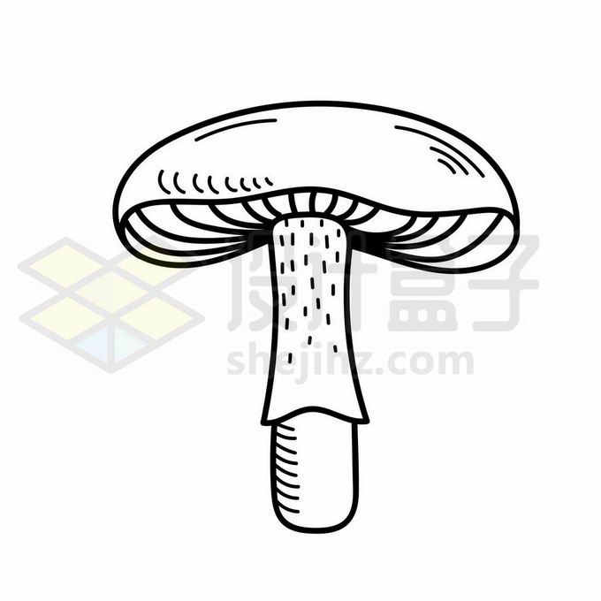 一株蘑菇线条简笔画1829272矢量图片免抠素材 生物自然-第1张
