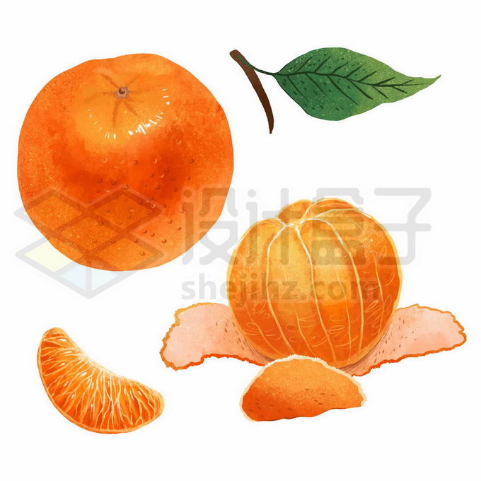 剥开的橘子 手绘图片