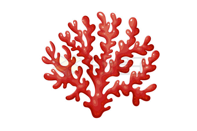 一株红珊瑚海洋生物鱼缸造景2211156矢量图片免抠素材 生物自然-第1张