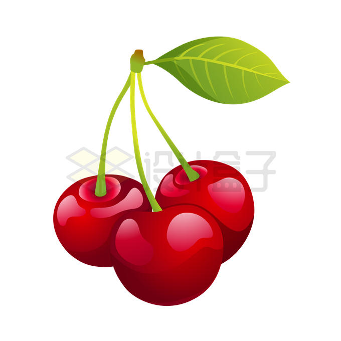 三颗红色的樱桃车厘子美味水果7226667矢量图片免抠素材 生活素材-第1张