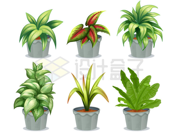 6款卡通花盆中的绿植观叶植物5237637矢量图片免抠素材 生物自然-第1张