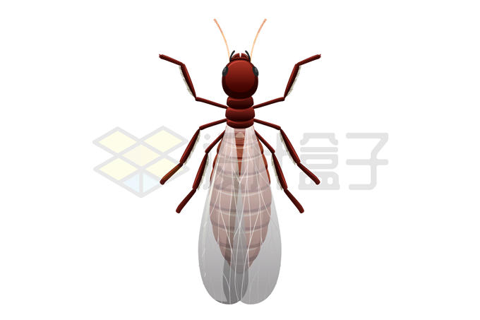 一只飞蚂蚁长翅膀的蚂蚁昆虫8641529矢量图片免抠素材 生物自然-第1张